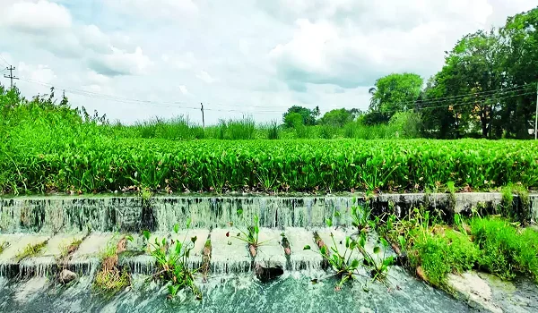 Muthanallur Lake